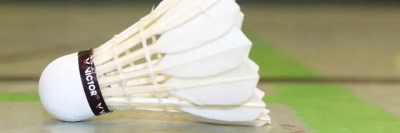 Badminton-Turniere im Rhein-Main-Gebiet